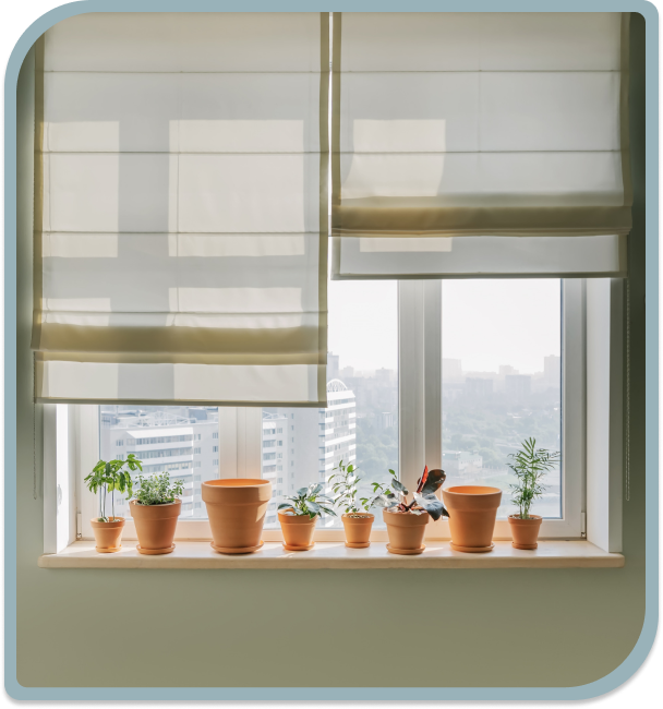 Roman Shades For Windows florida