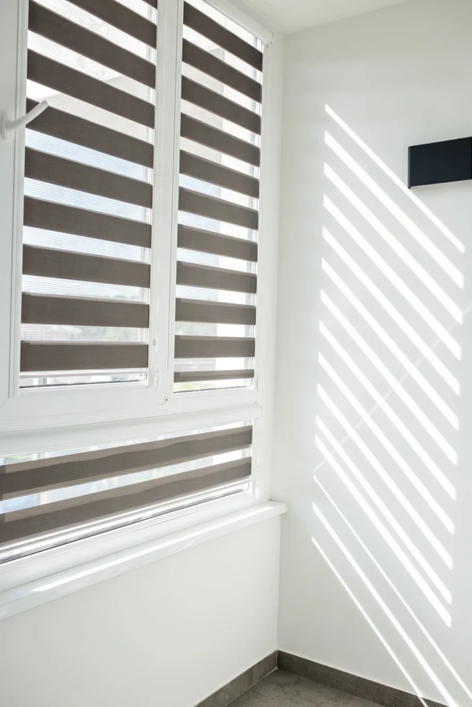 Blackout Zebra Shades