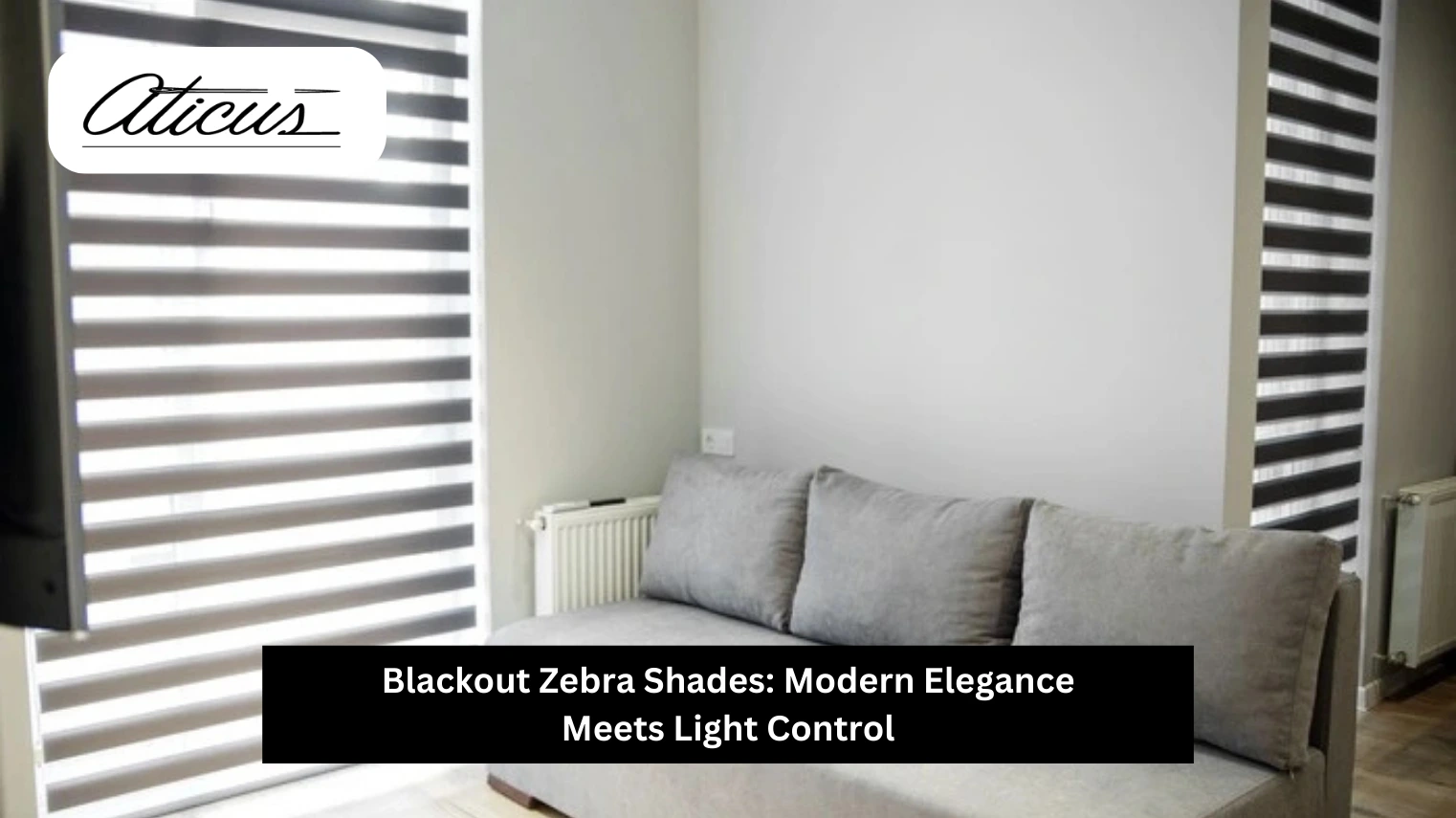Blackout Zebra Shades by aticus