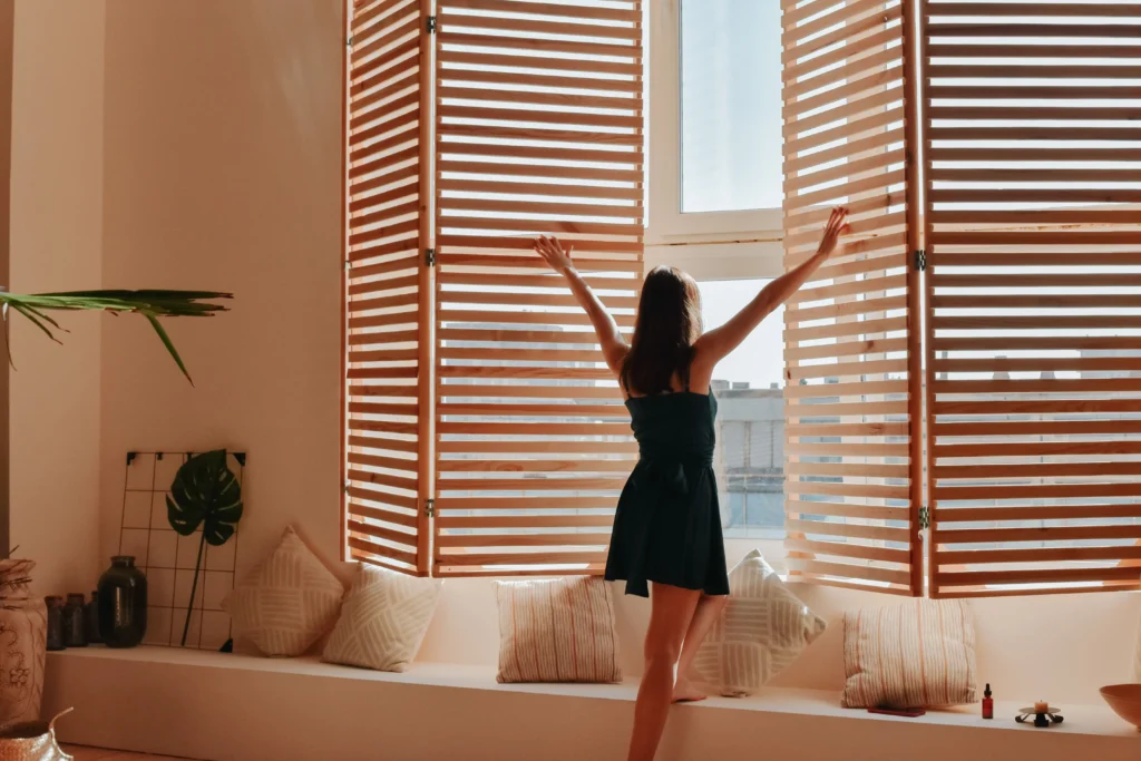 Custom Window Treatments by aticus
