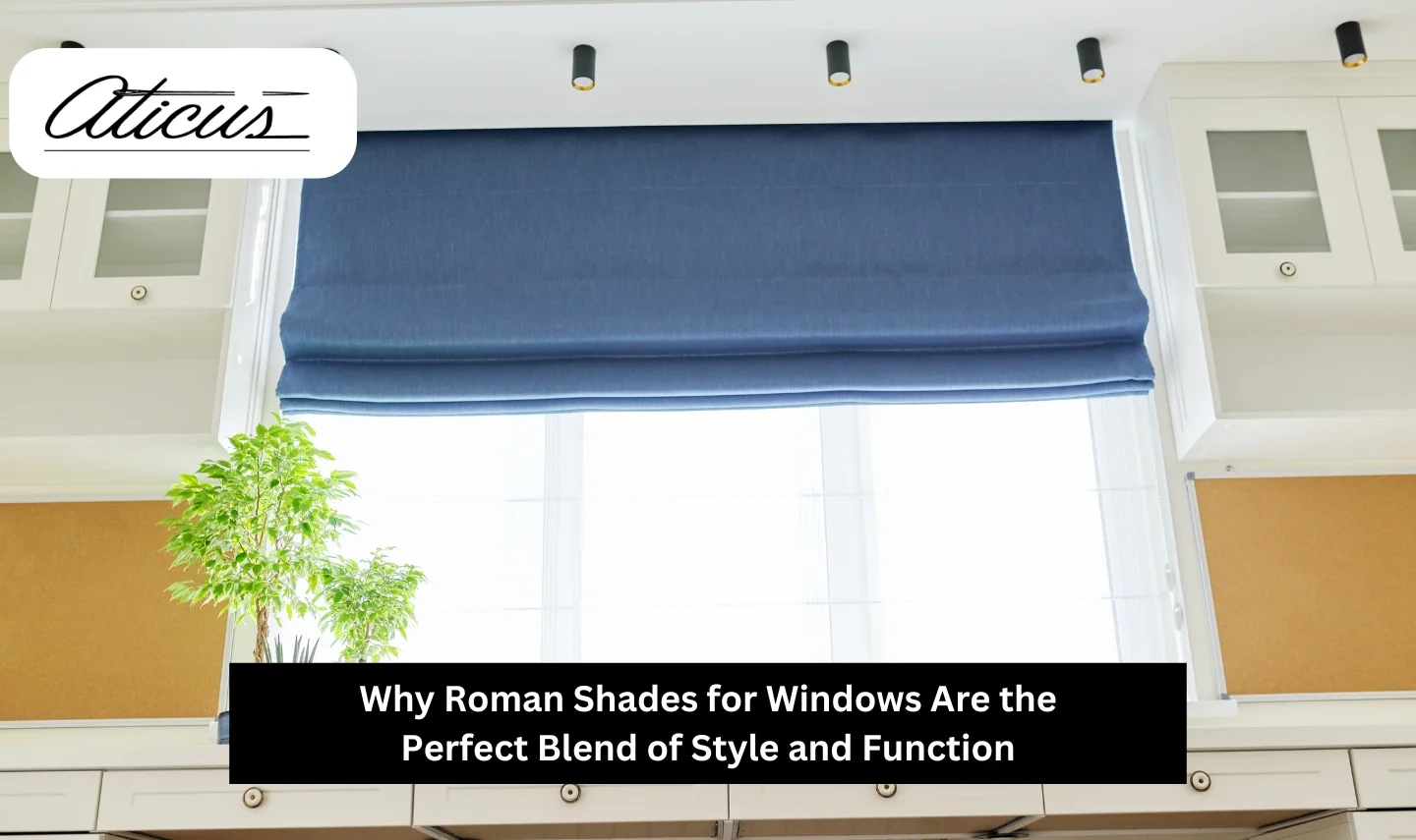 windows are the perfect blend of style and function - Aticus in Hollywood, FL