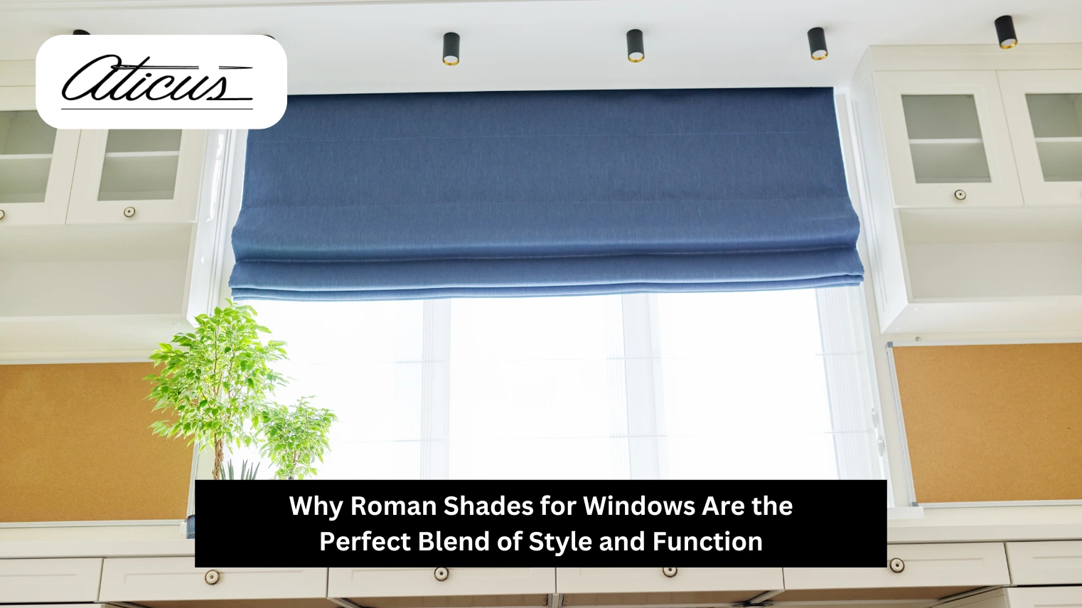 windows are the perfect blend of style and function - Aticus in Hollywood, FL